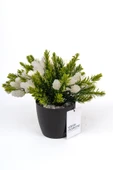 YAPAY ÇİÇEKÇİNİZ Taş Detaylı Siyah Saksıda Yoğun Yapraklı Yapay Dekor Yeşillik Demeti thumbnail 5