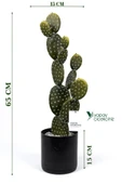 YAPAY ÇİÇEKÇİNİZ Taş Kaplı Siyah Saksısında Yapay Texas Kaktüs thumbnail 1