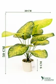 YAPAY ÇİÇEKÇİNİZ Taş Detaylı Beyaz Saksıda 12 Yapraklı 50 cm Yapay Salon Çiçeği - 1