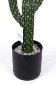 YAPAY ÇİÇEKÇİNİZ Taş Kaplı Siyah Saksısında Yapay Texas Kaktüs thumbnail 5