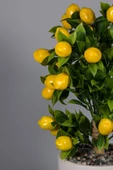YAPAY ÇİÇEKÇİNİZ Beyaz Beton Saksıda Yapay Limon Ağacı thumbnail 4