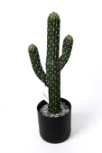 YAPAY ÇİÇEKÇİNİZ Taş Kaplı Siyah Saksısında Yapay Texas Kaktüs thumbnail 6