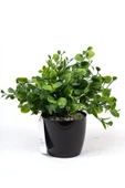 YAPAY ÇİÇEKÇİNİZ Taş Detaylı Siyah Saksıda Yoğun Yapraklı Yapay Dekor Yeşillik Demeti thumbnail 2