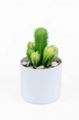 YAPAY ÇİÇEKÇİNİZ Beyaz Renkli Saksıda Yapay Kaktüs Sukulent thumbnail 1