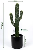 YAPAY ÇİÇEKÇİNİZ Taş Kaplı Siyah Saksısında Yapay Texas Kaktüs thumbnail 1