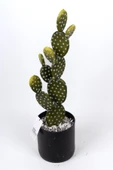 YAPAY ÇİÇEKÇİNİZ Taş Kaplı Siyah Saksısında Yapay Texas Kaktüs thumbnail 4
