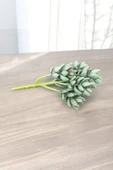 YAPAY ÇİÇEKÇİNİZ Gerçek Dokulu Yapay Kaktüs Sukulent - 3