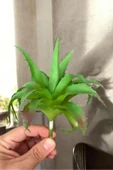 YAPAY ÇİÇEKÇİNİZ Gerçek Dokulu Yapay Kaktüs Sukulent - 1