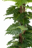 YAPAY ÇİÇEKÇİNİZ YAPAY MONSTERA AĞACI 150 CM thumbnail 3