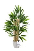 Taş Detaylı Saksıda 60 Cm Yapay Bambu Ağacı thumbnail 2