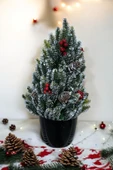 Kozalak ve Kokina Detaylı Yılbaşı Çam Ağacı 35 cm - 6