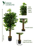 YAPAY ÇİÇEKÇİNİZ 120 Cm Benjamin Ağacı thumbnail 4