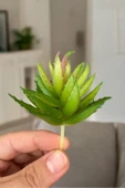 Yapay Sukulent Kaktüs thumbnail 3