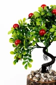 Taş Detaylı Odun Saksıda Yapay Bonsai Ağacı - 2