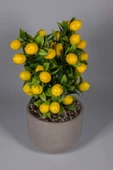 YAPAY ÇİÇEKÇİNİZ Gri Beton Saksıda Yapay Limon Ağacı thumbnail 3