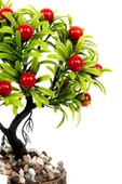 Taş Detaylı Odun Saksıda Yapay Bonsai Ağacı - 9