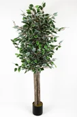 YAPAY ÇİÇEKÇİNİZ Siyah Saksıda Çim Detaylı Yapay Benjamin Starlight Ağacı 150 Cm - 1
