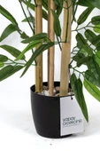 Taş Detaylı Saksıda 60 Cm Yapay Bambu Ağacı thumbnail 9