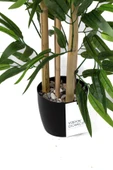 Taş Detaylı Saksıda 60 Cm Yapay Bambu Ağacı thumbnail 11