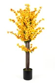 Siyah Saksıda Turuncu Sarı Renkli 120 cm Japon Bahardalı Ağacı thumbnail 2