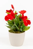 Beyaz Saksıda Dekoratif Yapay Menekşe Çiçeği 25 Cm - 4