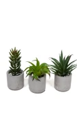 Beton Saksıda Yapay 3'lü Kaktüs Seti thumbnail 5