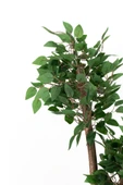 YOĞUN YAPRAKLI 2 GÖVDE YAPAY BENJAMİN AĞACI 110 CM - 2