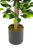 YAPAY ÇİÇEKÇİNİZ Gri Saksıda Yoğun Yapraklı Yapay Benjamin Ağacı thumbnail 7