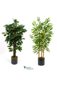 YAPAY ÇİÇEKÇİNİZ 2 Adet Gri Saksıda Çim Detaylı 100 Cm Yapay Benjamin ve Yapay Bambu Ağacı thumbnail 1