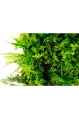 YAPAY ÇİÇEKÇİNİZ Yapay Duvar Paneli Ultra Yoğun Yapraklı thumbnail 4