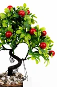 Taş Detaylı Odun Saksıda Yapay Bonsai Ağacı - 3