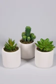 YAPAY ÇİÇEKÇİNİZ Beyaz Seramik Saksıda 3 Lü Kaktüs Set (SUKULENT KAKTÜS TÜRLERİ DEĞİŞİKLİK GÖSTERMEKTE) thumbnail 1