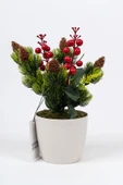 Saksıda Kokina Tanzimli Yapay Yılbaşı Çiçeği thumbnail 7