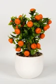 Beyaz Beton Saksıda Yapay Mandalina Ağacı thumbnail 1