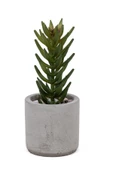 Beton Saksıda Yapay 3'lü Kaktüs Seti thumbnail 3