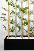 YAPAY ÇİÇEKÇİNİZ 170 Cm Bambu Seperatör thumbnail 3