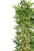 YAPAY ÇİÇEKÇİNİZ 5 Gövdeli Yoğun Yapraklı 150 Cm Yapay Bambu Ağacı thumbnail 3