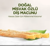 Nessiworld Eyüp Sabri Tuncer Doğal Diş Macunu 90 Gr Misvak Özlü - 4