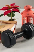 PS SPOR 2 KG DAMBIL (1 KG X 2 ADET GÖNDERİM YAPILIR) - 2