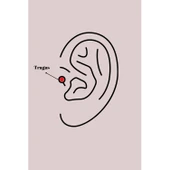 316l Çelik Gümüş Renk Zirkon Taşlı Yıldız Model Tragus Piercing - Tj-pr1339 Tg-53-vice/(1395) 2399 thumbnail 2