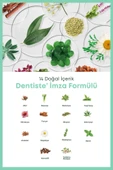 Dentiste Pocket Pro Susuz Fırçalama Seyahat Seti (Kırmızı) - 5