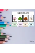 Ti PlayMevsim Eğitici Tablo 35x50 cm Bristol Baskı 02 - 4