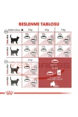 Royal Canin Fit32 Yetişkin Kuru Kedi Maması 15kg - 4