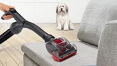 Bosch BGC41PET ProAnimal Toz torbasız Süpürge - 10