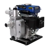 Hyundai Hwp15 Su Motoru Benzinli 1,5 İpli thumbnail 2