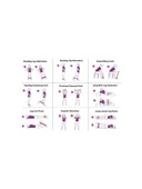 Spor Direnç Lastiği 5 Kademeli C32 - 4