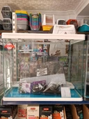 Netx DG600 Akvaryum Seti + LED & Filtre - 1