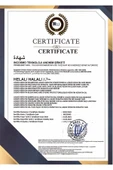 Oil Plex ( 500ml ) Saçı Yakmadan Açmak Için Oryalden Saç Koruyucu - 2