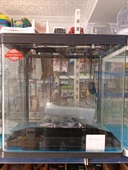 Netx DG500 Akvaryum Seti + LED & Filtre - 1