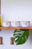 Mien Bambu Hava Geçirmez Vakumlu Silindir Kapak Cam Kavanoz Baharat Seti 3'lü 370 ml - 1